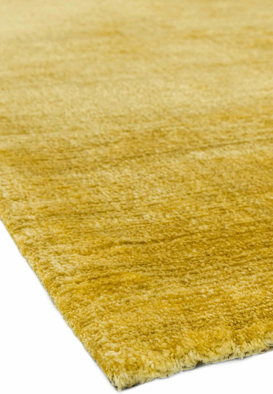 Asiatic Dolce yellow 4