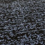 Asiatic Elodie indigo black 4