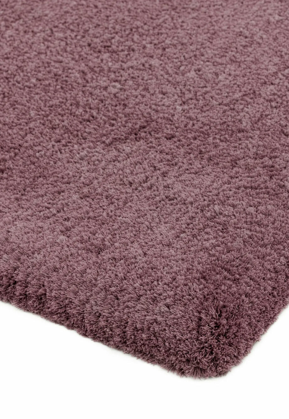 Asiatic Lulu lavender 2