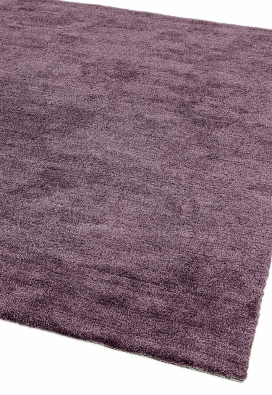 Asiatic Milo purple 1