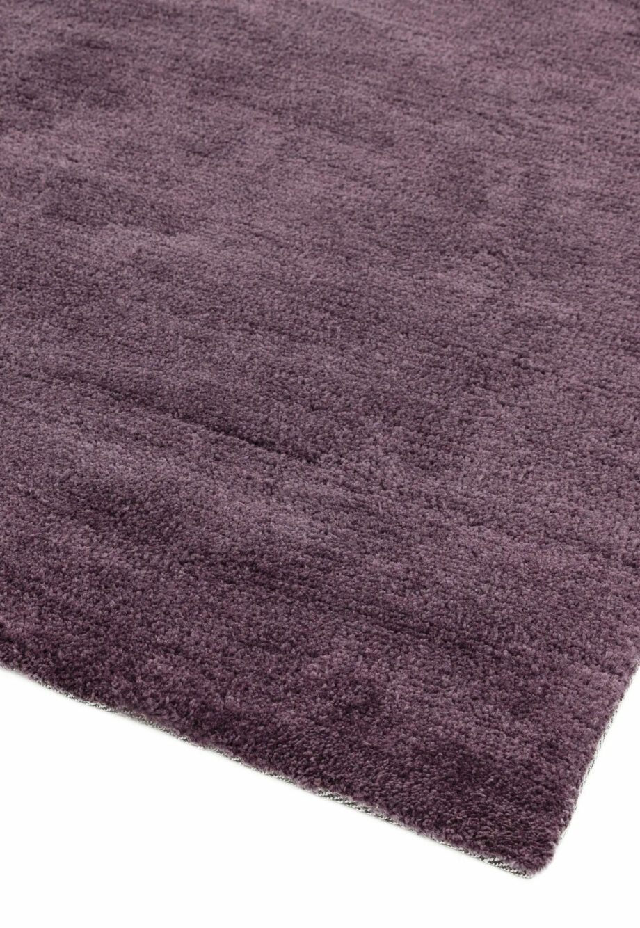 Asiatic Milo purple 2