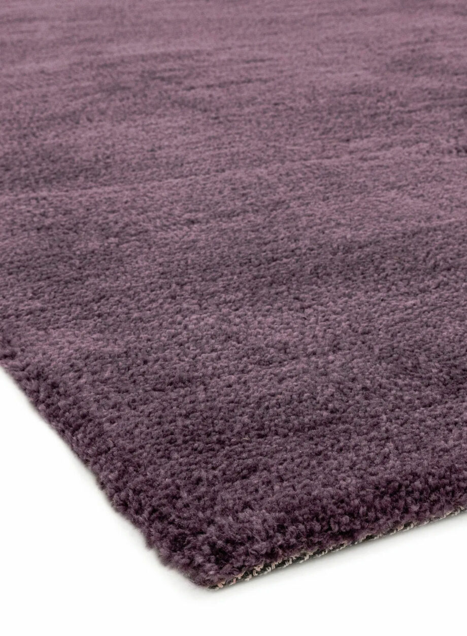 Asiatic Milo purple 4