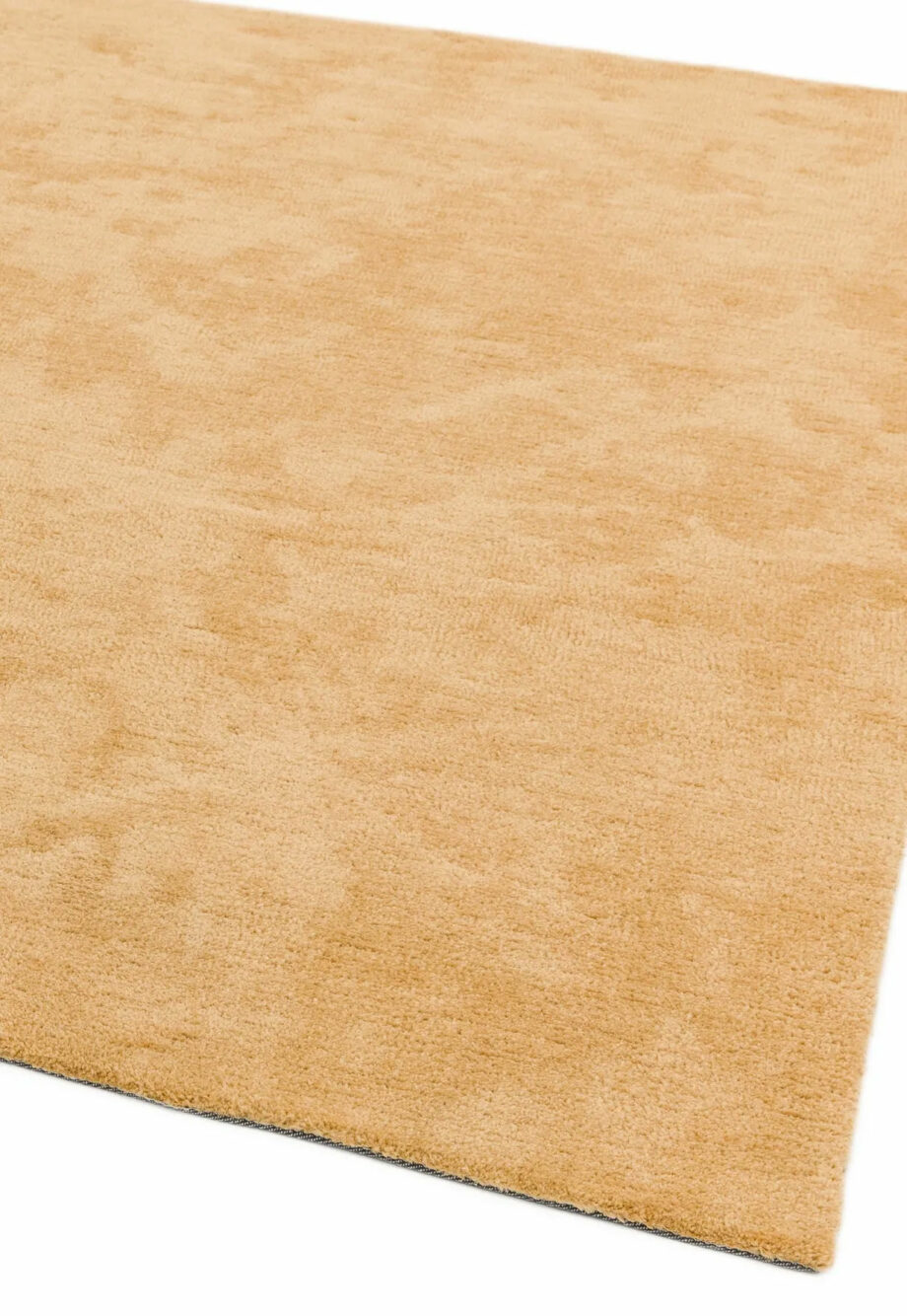 Asiatic Milo yellow 1