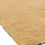 Asiatic Milo yellow 4