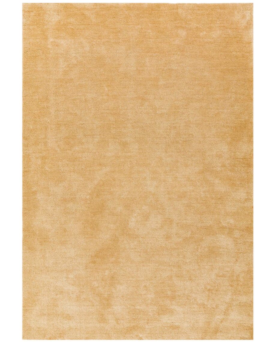 Asiatic Milo yellow
