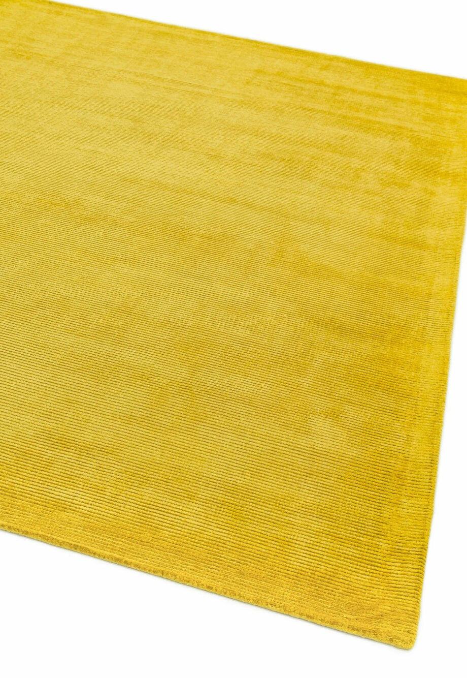 Asiatic Reko mustard 1