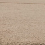 Asiatic Tate sand 4