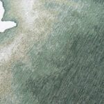 Louis De Poortere tapet Meditation Lagoon 9331 Palm Green zoom 2