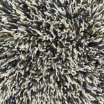 Brink Campman Jazz Lush Blue Note 158704 zoom sana