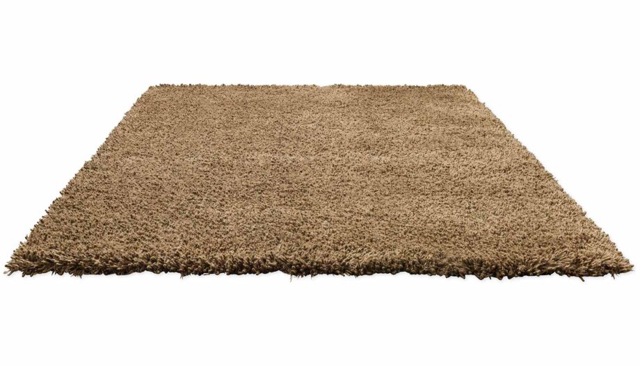 Brink Campman Sprout Dusty Ground 013319 D