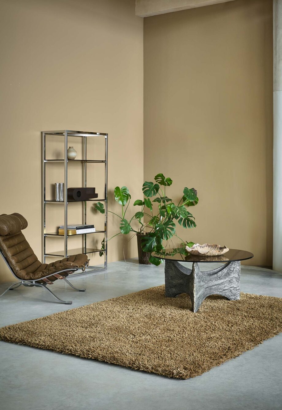 Brink Campman Sprout Dusty Ground 013319 interior A