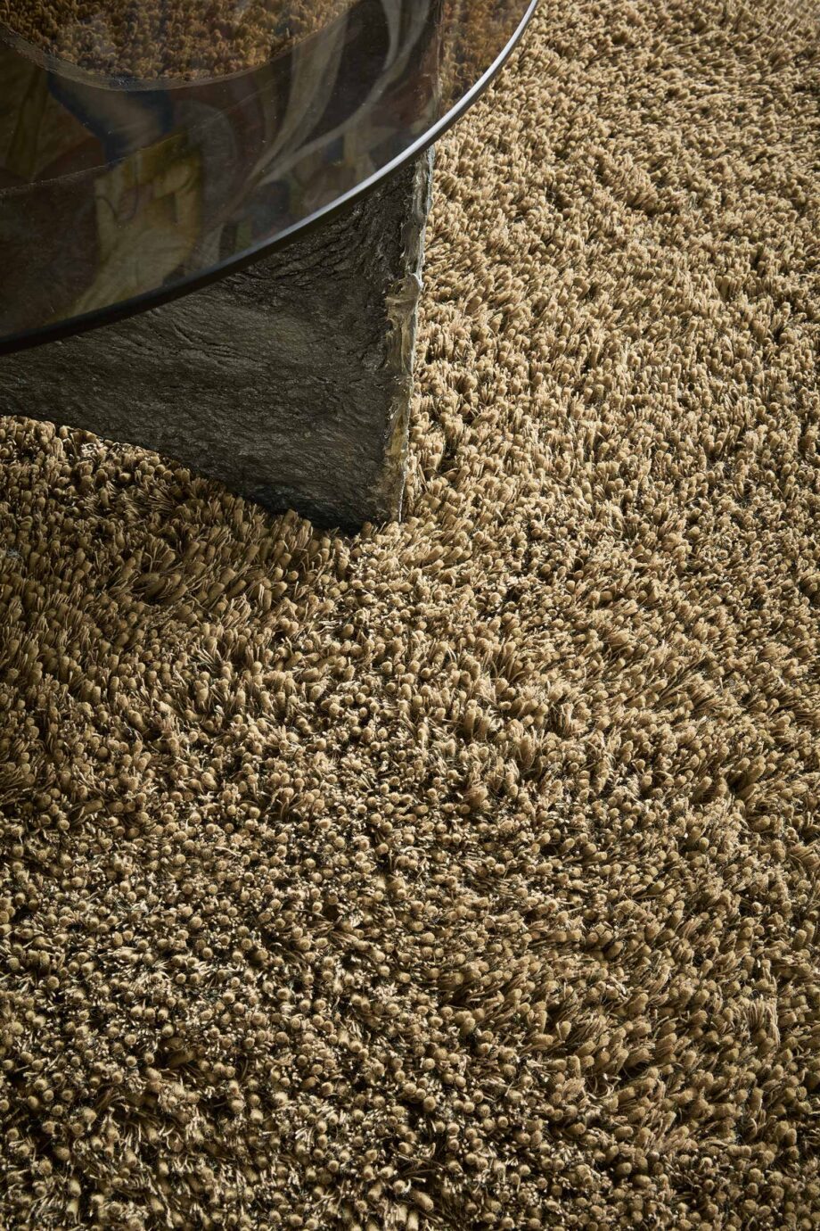 Brink Campman Sprout Dusty Ground 013319 interior B
