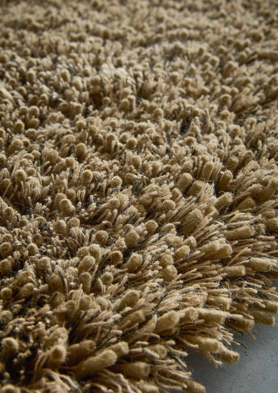 Brink Campman Sprout Dusty Ground 013319 interior C