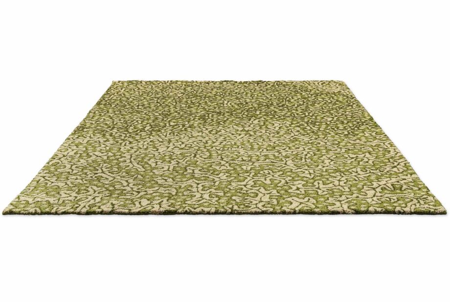 Sanderson Truffle Olive 446007 D outdoor